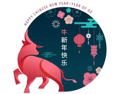 一虎一蛇是什么生肖打一肖，完美讲析解答落实