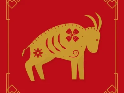 三令五申猜是什么最佳生肖，揭秘解析落实