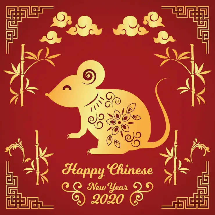 小儿活泼代表最佳准确打是什么生肖,释义词语谜底解释